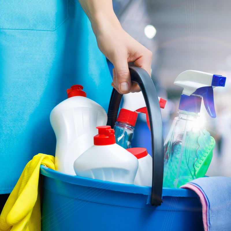 regular house cleaning services